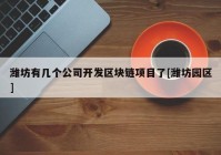 潍坊有几个公司开发区块链项目了[潍坊园区]