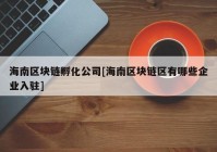 海南区块链孵化公司[海南区块链区有哪些企业入驻]