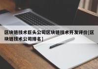 区块链技术巨头公司区块链技术开发评价[区块链技术公司排名]